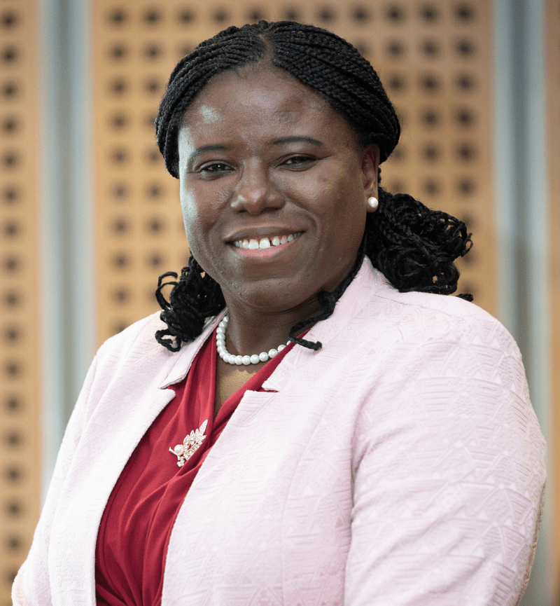 Professor Esther Akinlabi <br><br> University of Johannesburg, South Africa